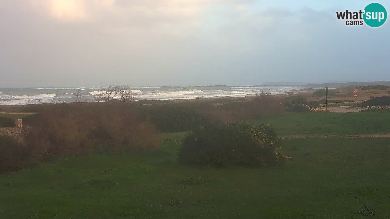 Mari Ermi Strand | Is Arutas – Oristano