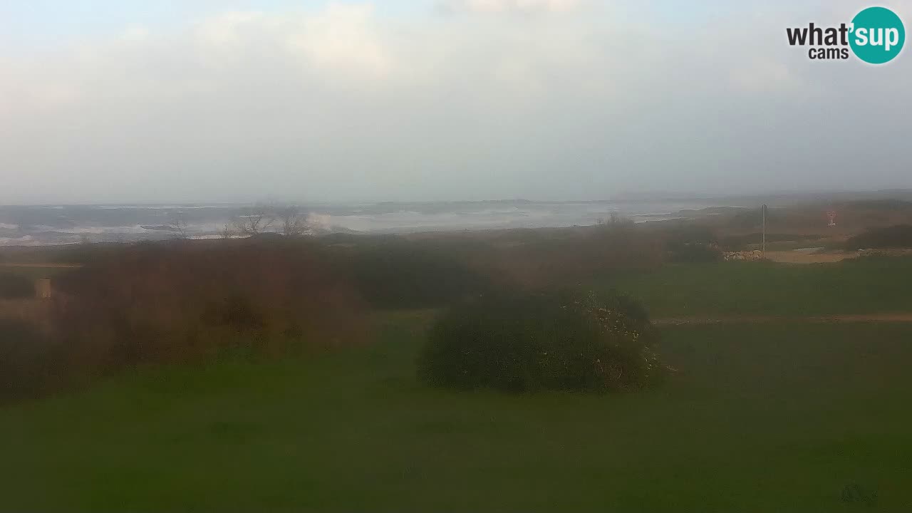 Mari Ermi Strand | Is Arutas – Oristano