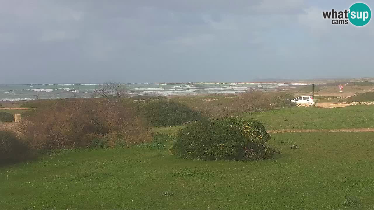 Spiaggia Mari Ermi | Is Arutas – Oristano