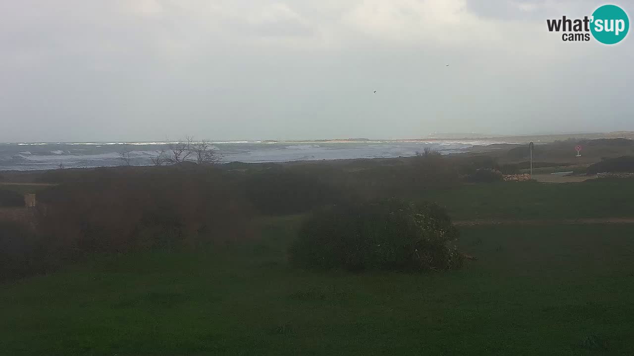 Mari Ermi Strand | Is Arutas – Oristano