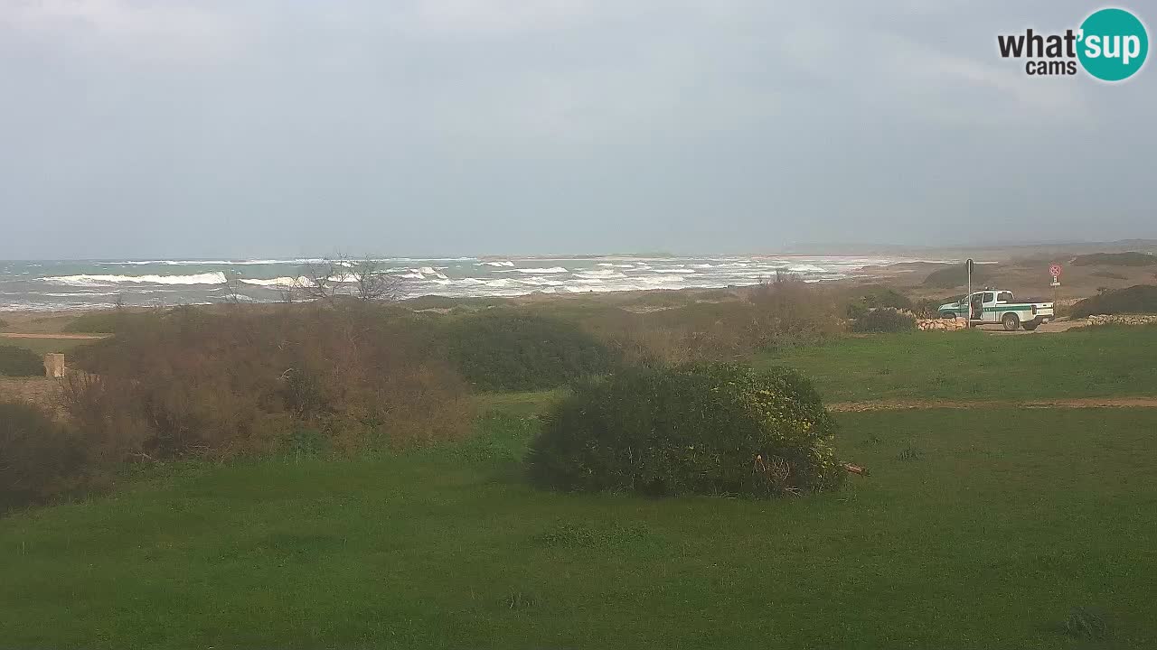 Plage Mari Ermi | Is Arutas – Oristano