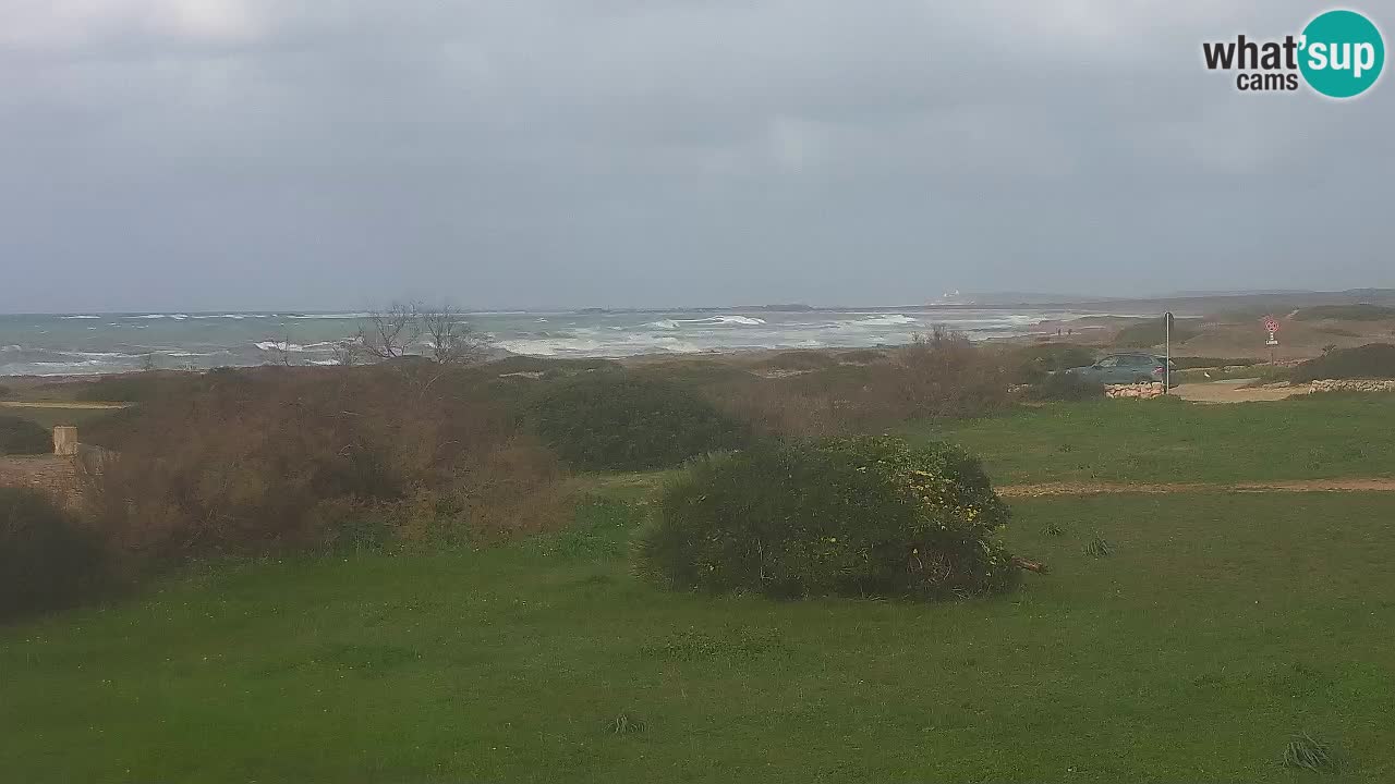 Plaža Mari Ermi | Is Arutas – Oristano