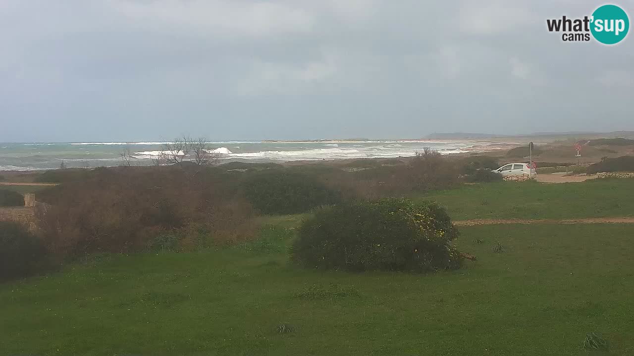 Plaža Mari Ermi | Is Arutas – Oristano