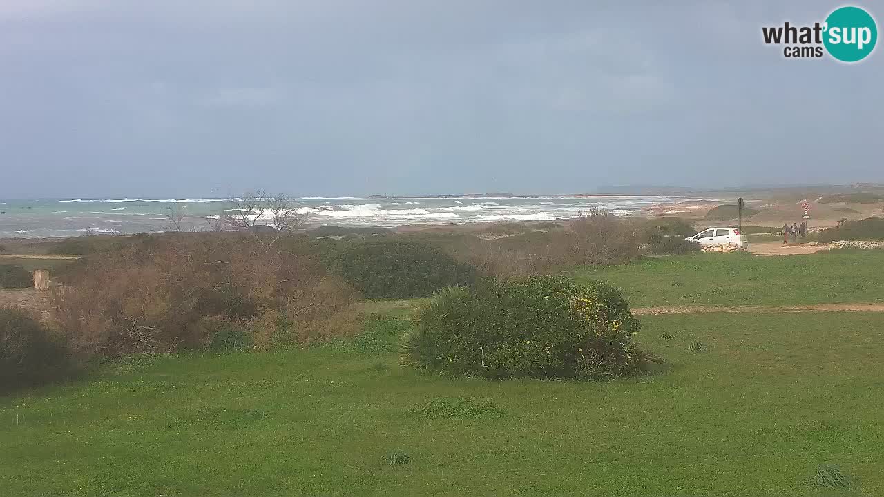 Plaža Mari Ermi | Is Arutas – Oristano