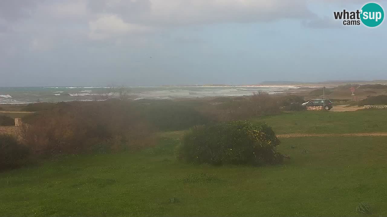 Mari Ermi Strand | Is Arutas – Oristano