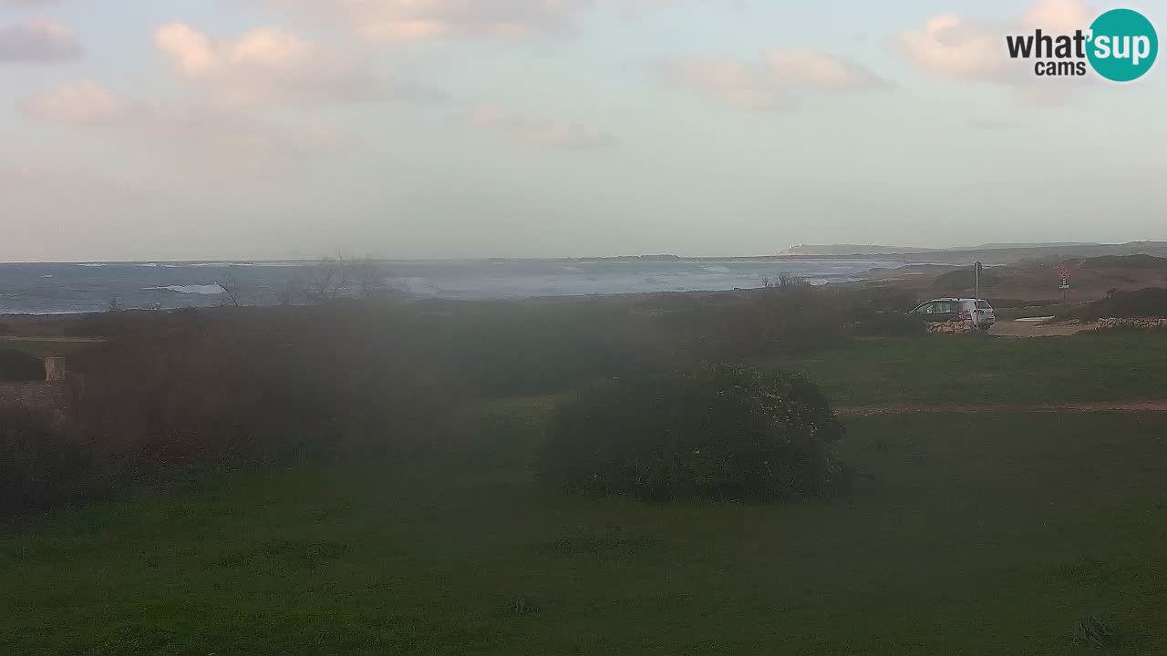 Playa Mari Ermi | Is Arutas – Oristano