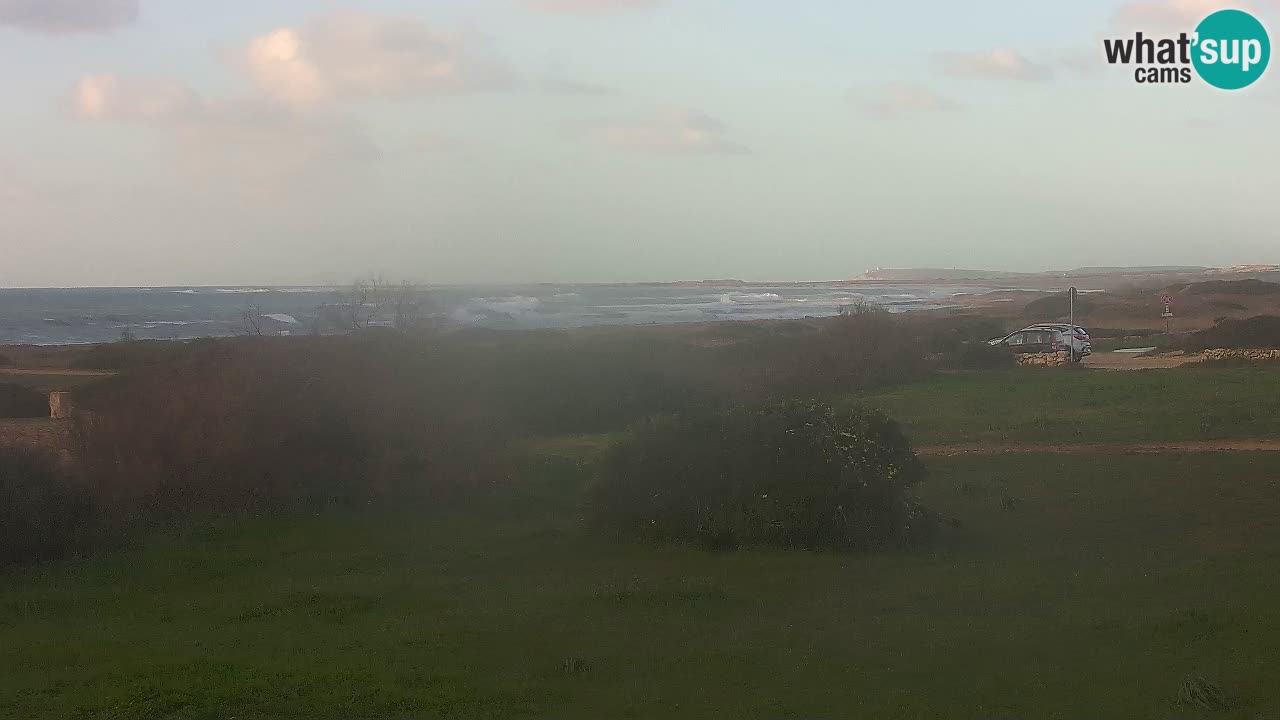 Playa Mari Ermi | Is Arutas – Oristano