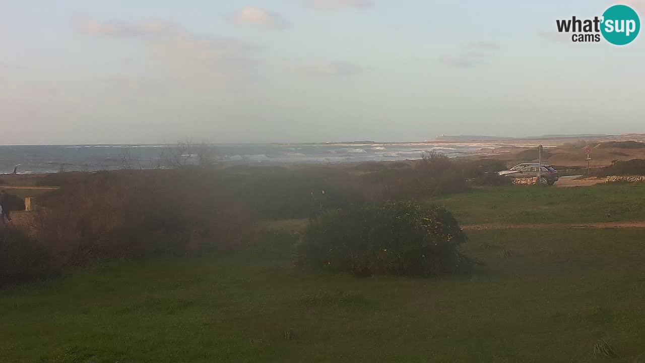 Plage Mari Ermi | Is Arutas – Oristano