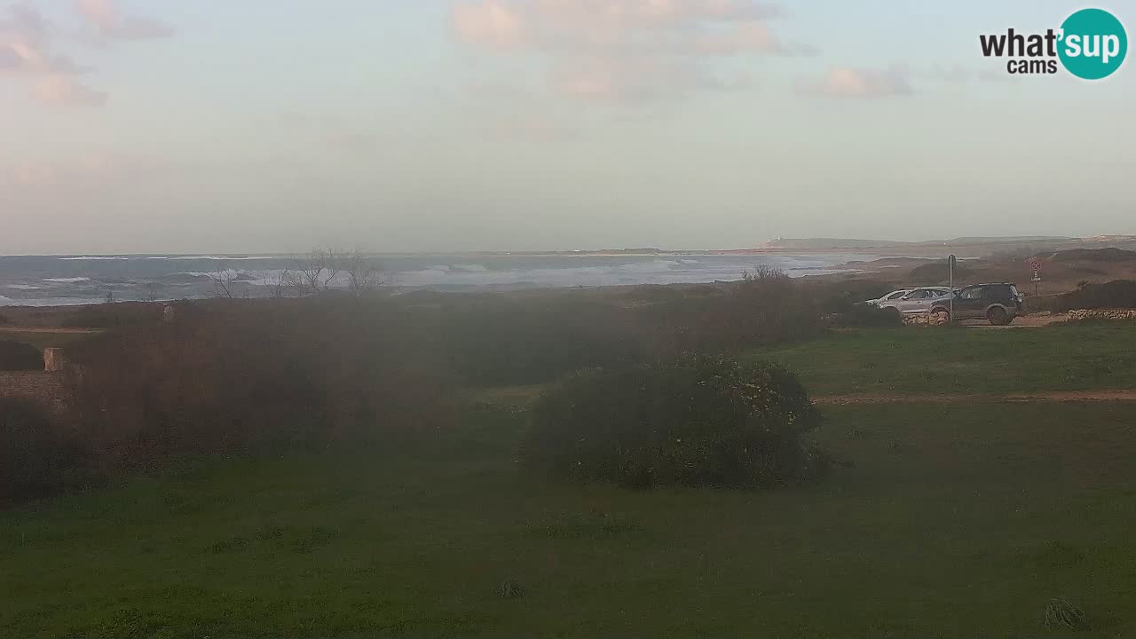 Playa Mari Ermi | Is Arutas – Oristano