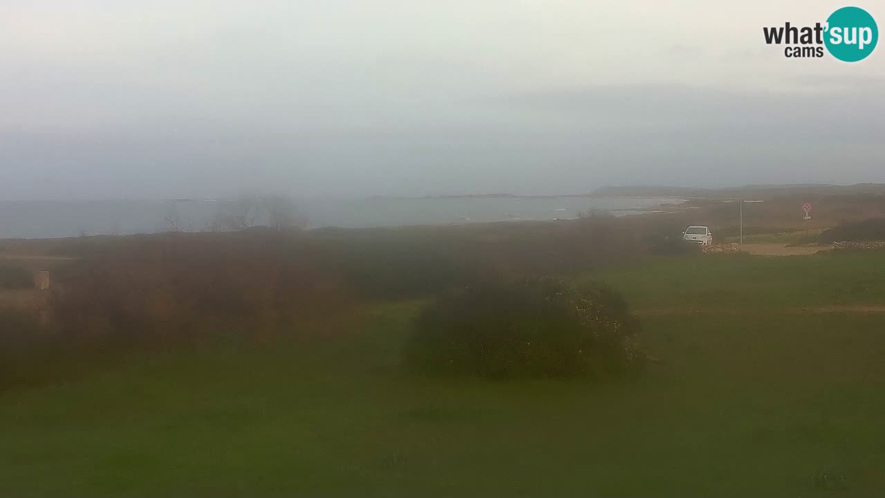 Plaža Mari Ermi | Is Arutas – Oristano