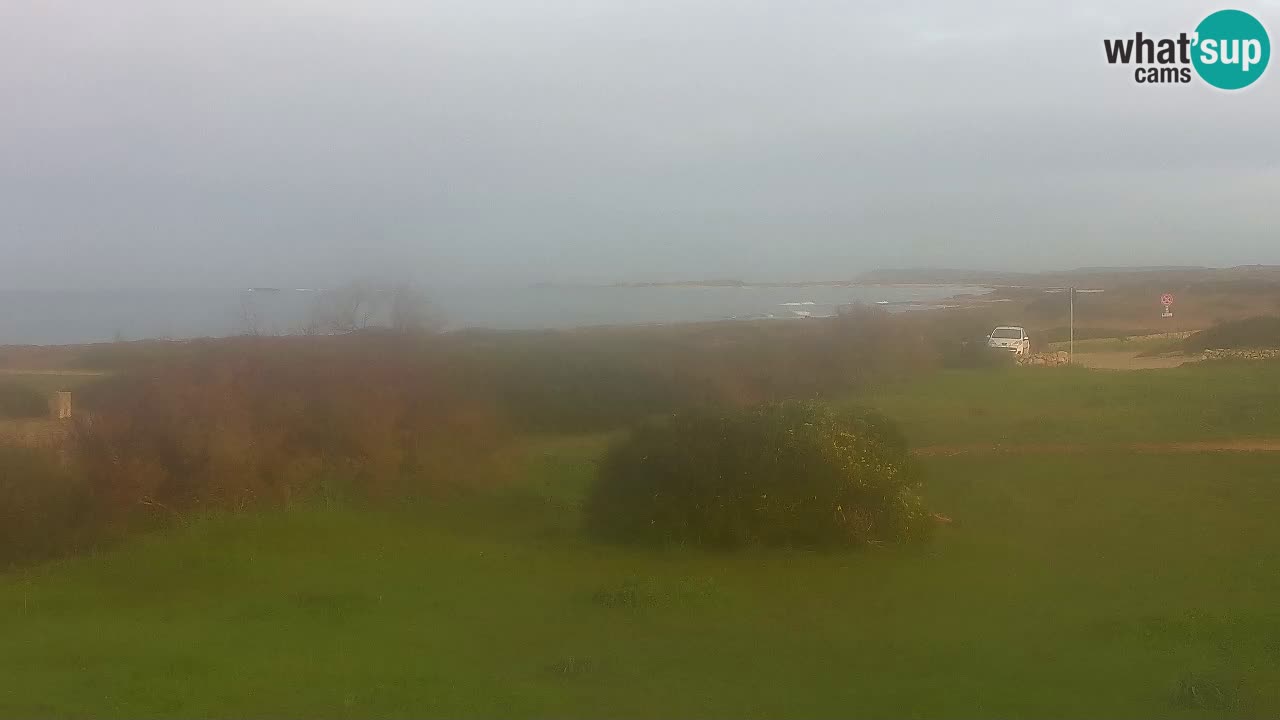 Playa Mari Ermi | Is Arutas – Oristano