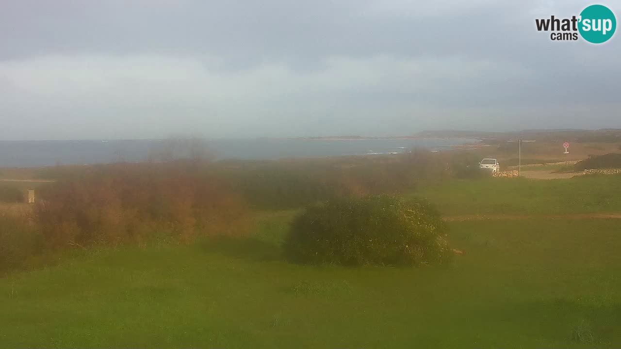 Playa Mari Ermi | Is Arutas – Oristano