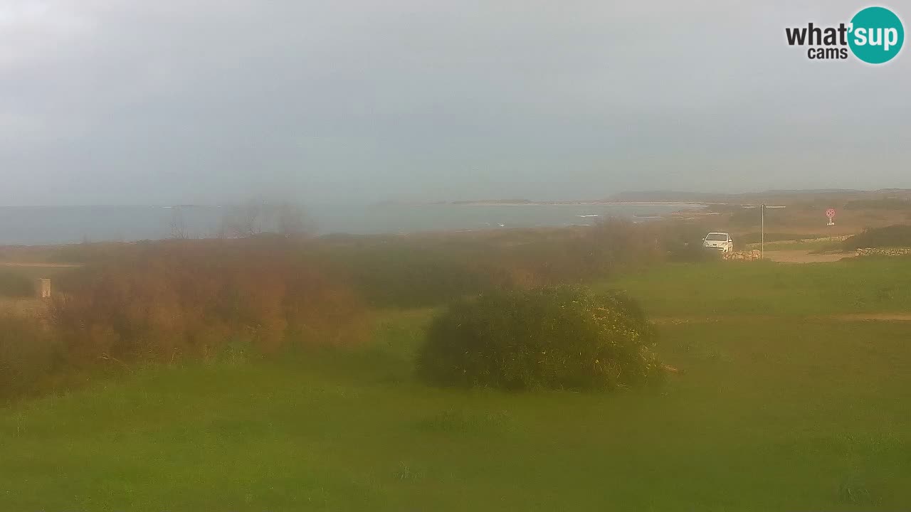 Spiaggia Mari Ermi | Is Arutas – Oristano