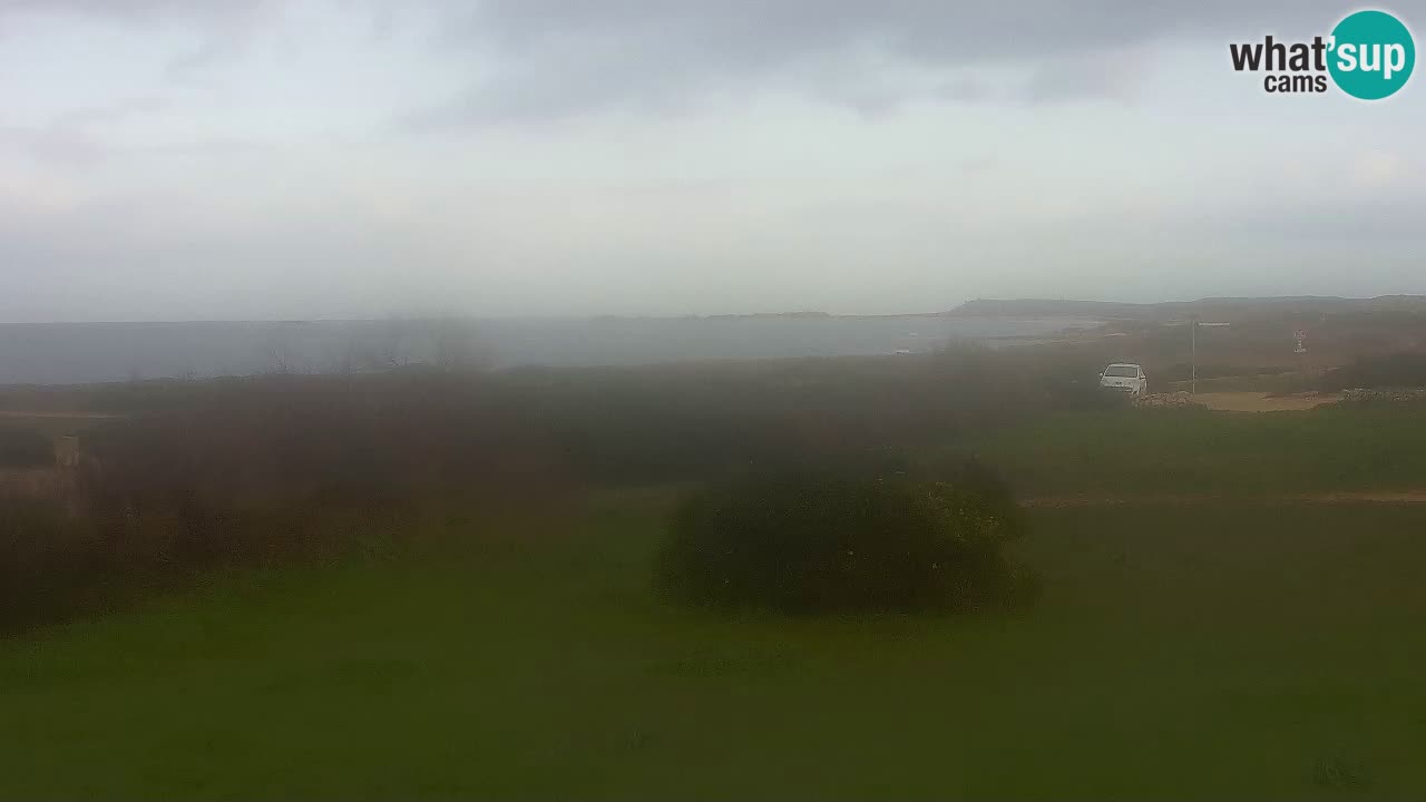 Playa Mari Ermi | Is Arutas – Oristano