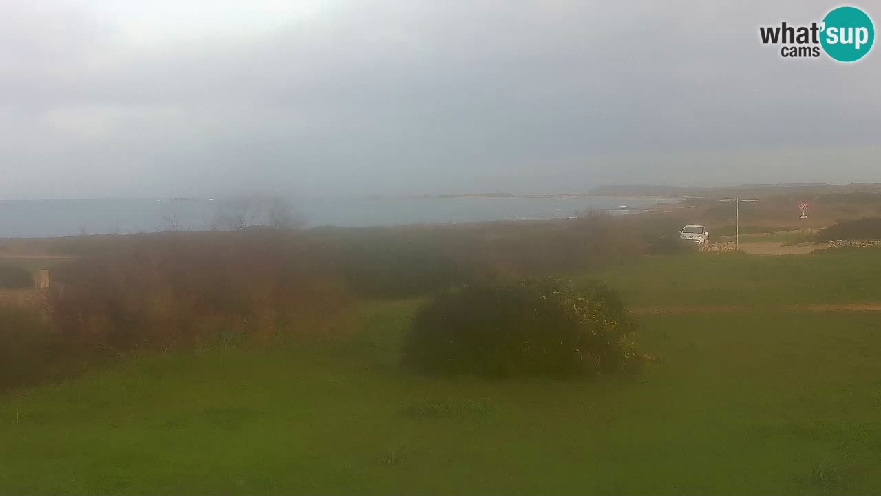 Plage Mari Ermi | Is Arutas – Oristano