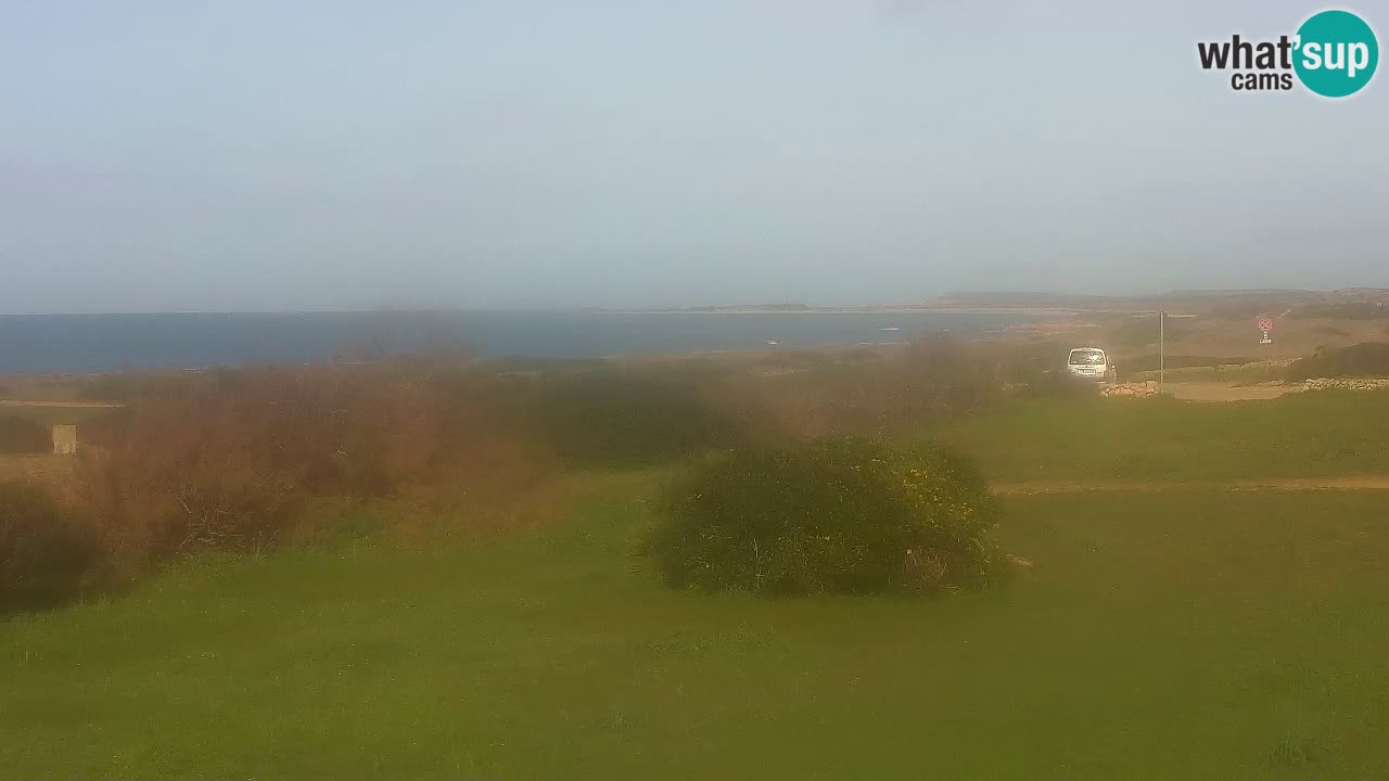 Playa Mari Ermi | Is Arutas – Oristano