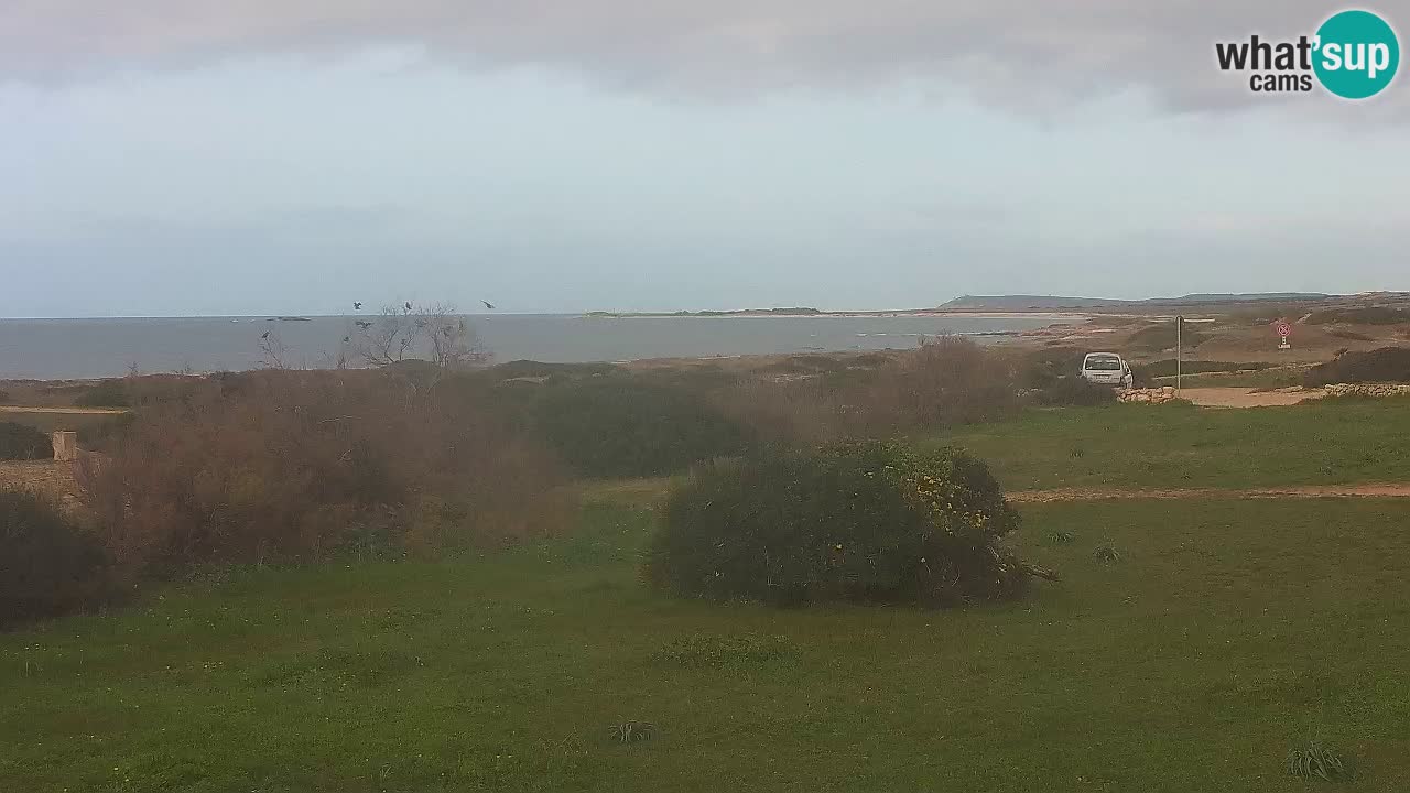 Spiaggia Mari Ermi | Is Arutas – Oristano