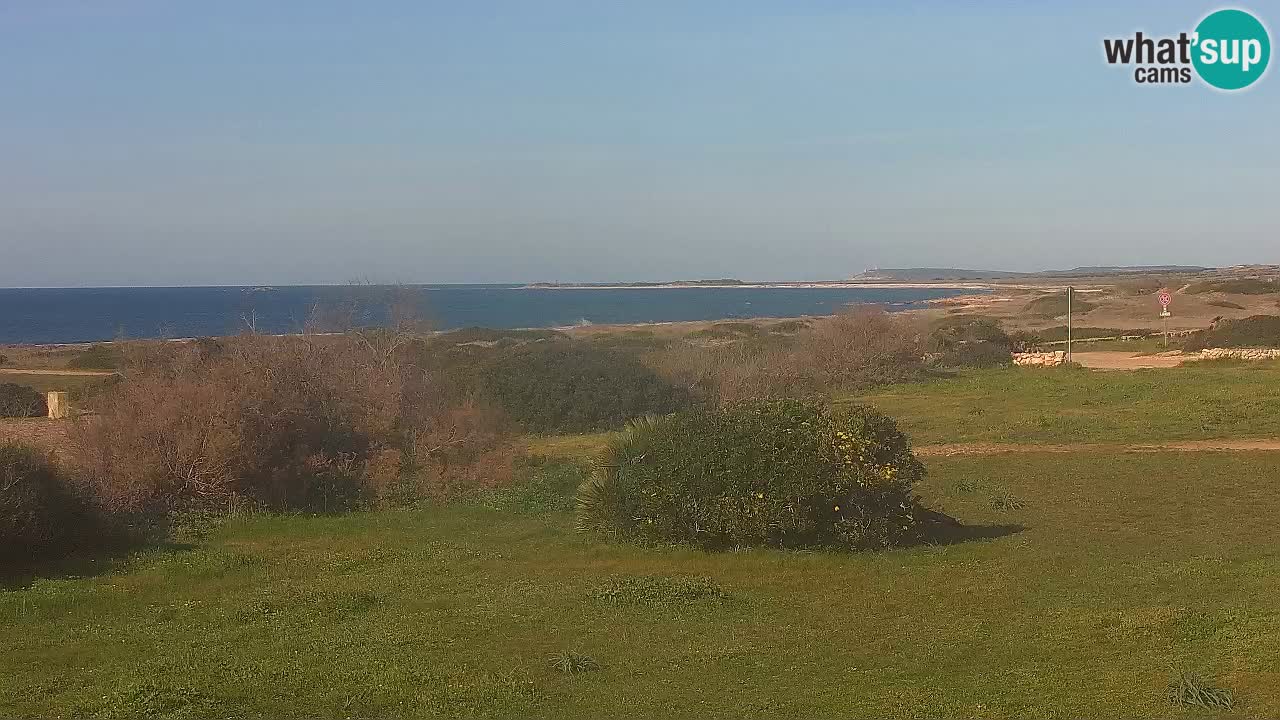 Plage Mari Ermi | Is Arutas – Oristano