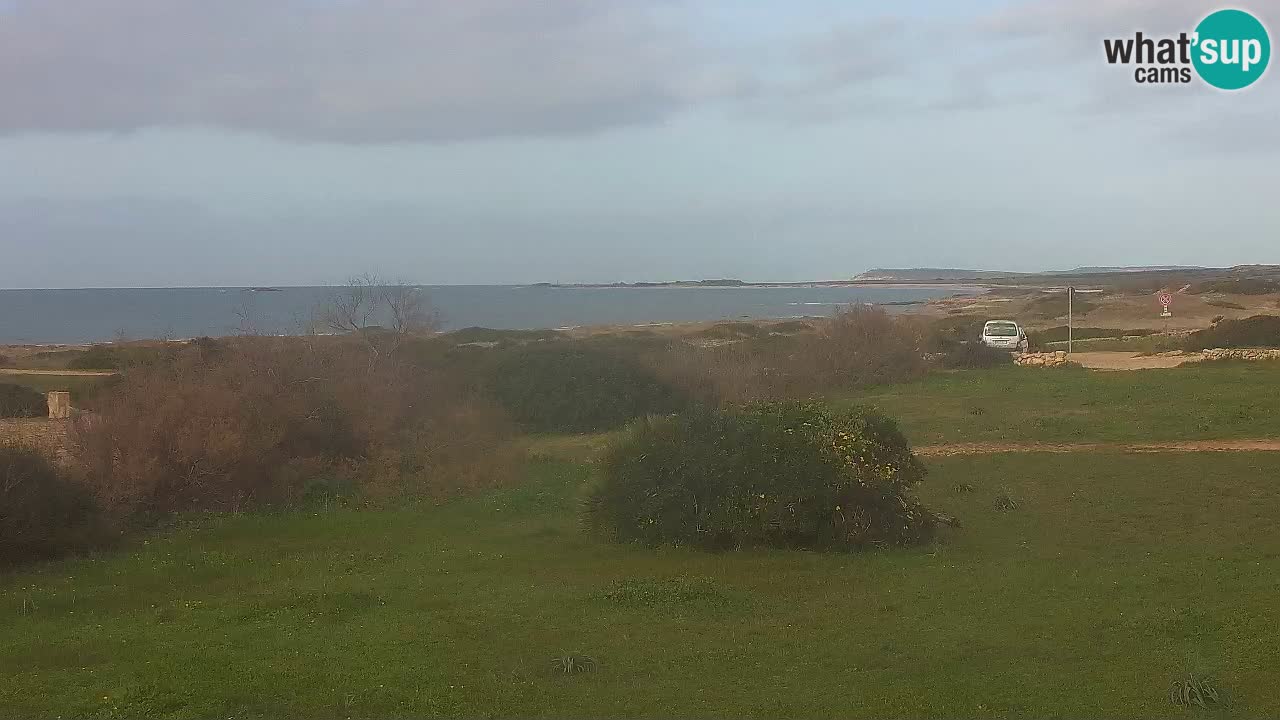 Plaža Mari Ermi | Is Arutas – Oristano