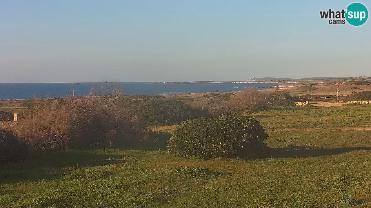 Plaža Mari Ermi | Is Arutas – Oristano