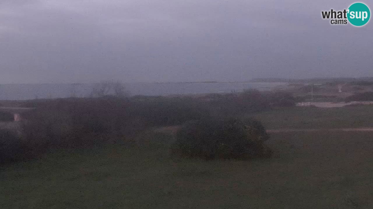 Mari Ermi Strand | Is Arutas – Oristano