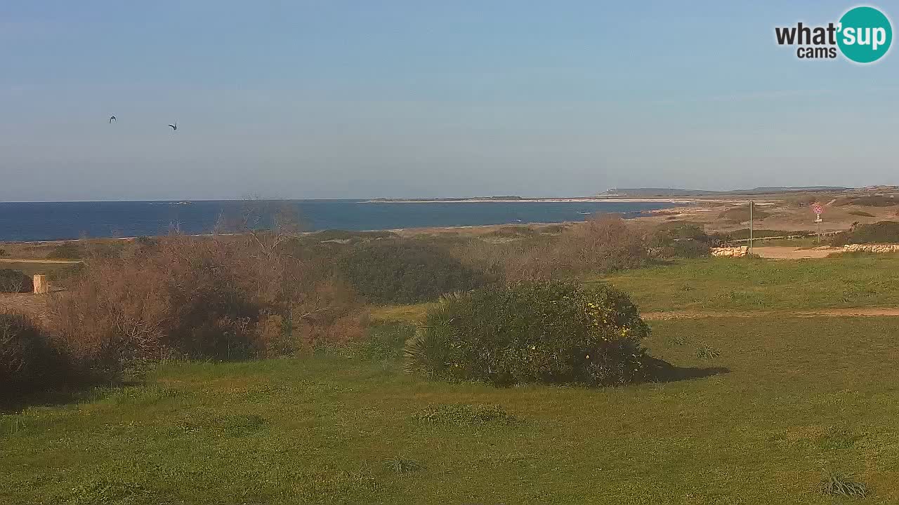Spiaggia Mari Ermi | Is Arutas – Oristano
