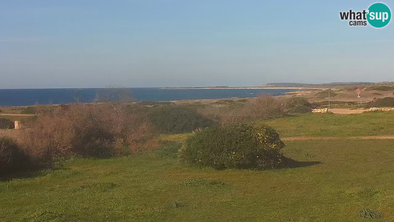 Playa Mari Ermi | Is Arutas – Oristano