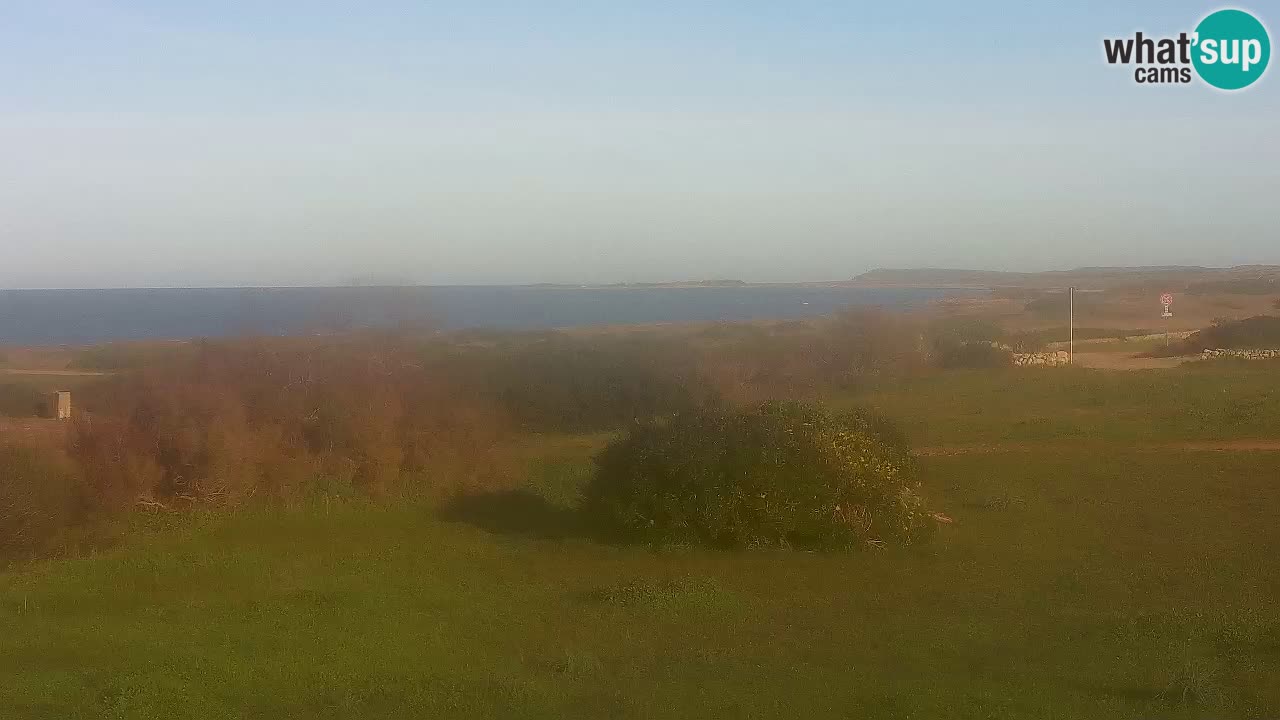 Playa Mari Ermi | Is Arutas – Oristano