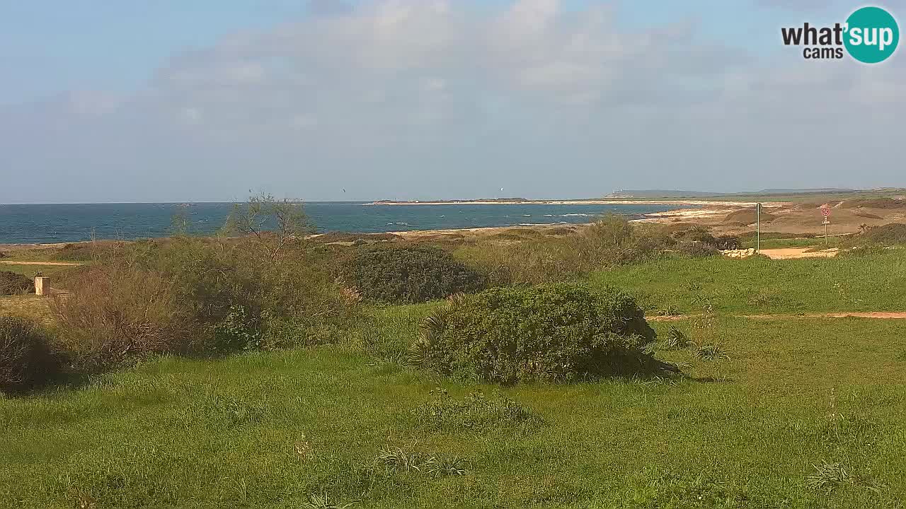 Mari Ermi Strand | Is Arutas – Oristano