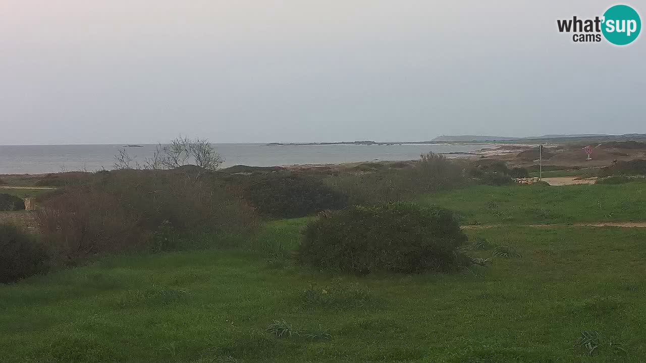 Mari Ermi beach | Is Arutas – Oristano