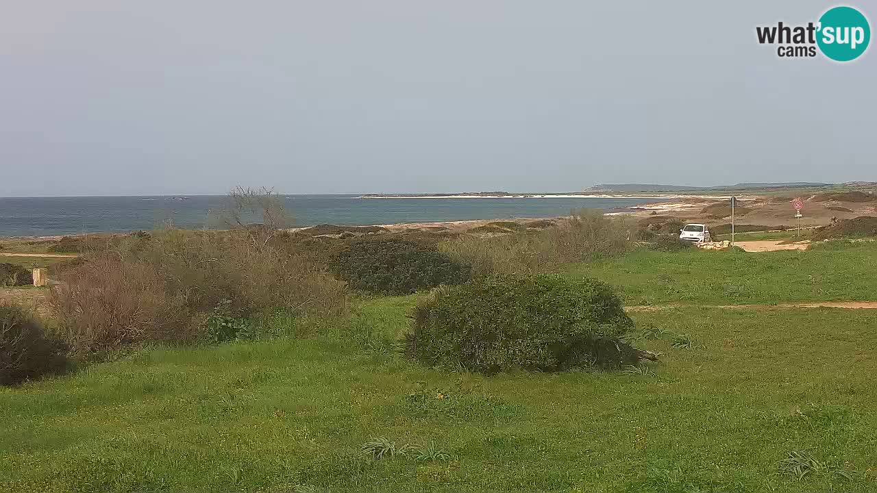 Mari Ermi beach | Is Arutas – Oristano