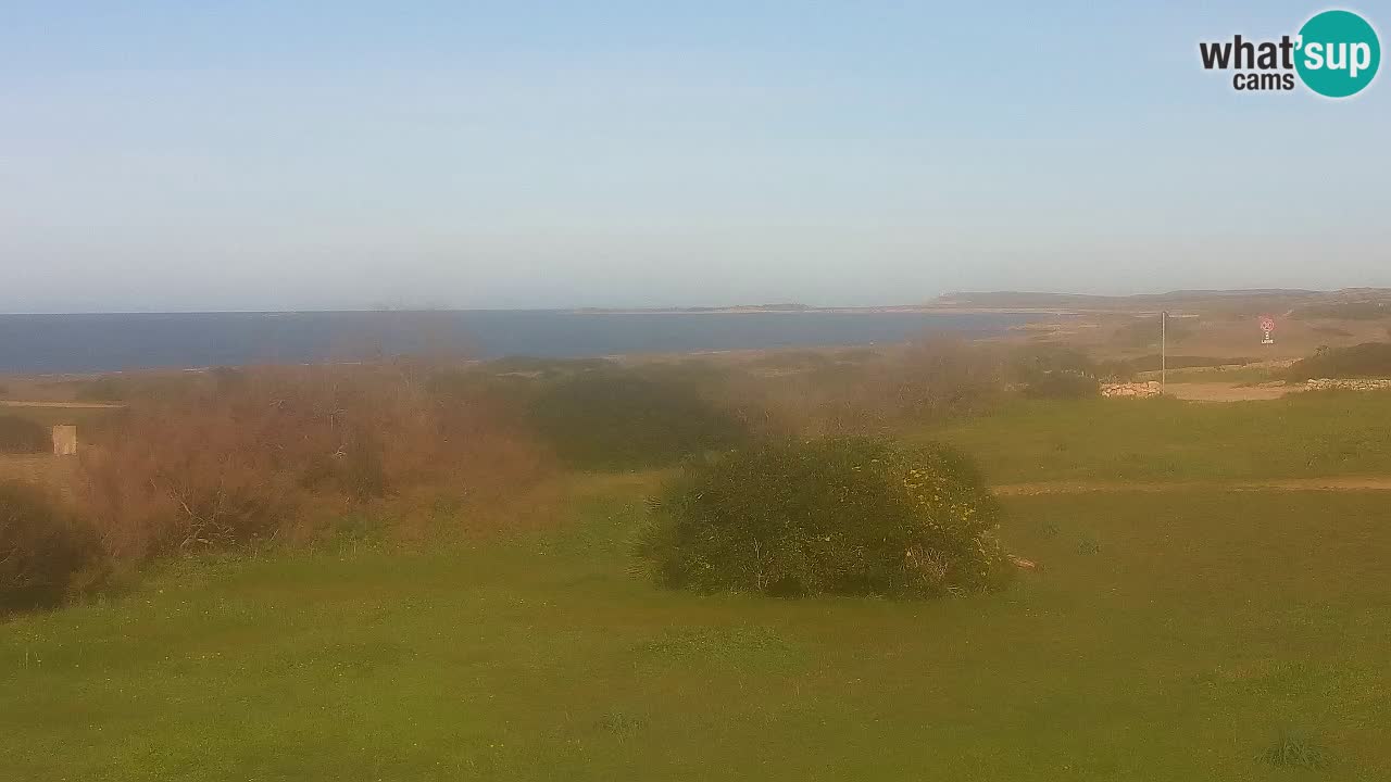 Plage Mari Ermi | Is Arutas – Oristano