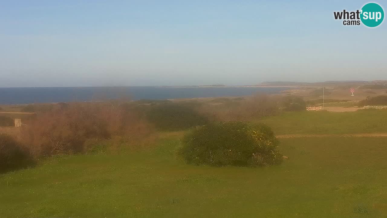 Playa Mari Ermi | Is Arutas – Oristano