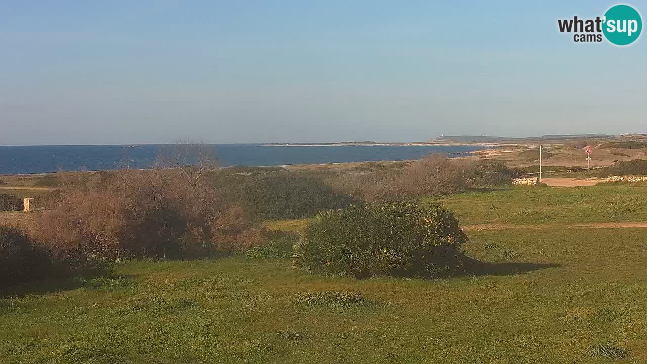 Plaža Mari Ermi | Is Arutas – Oristano