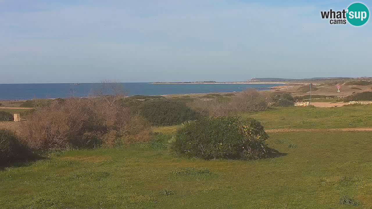 Plaža Mari Ermi | Is Arutas – Oristano