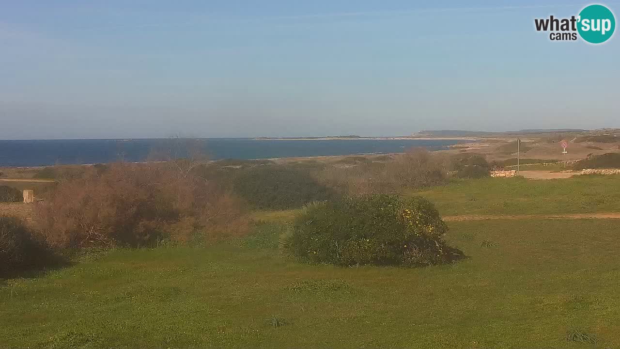 Mari Ermi beach | Is Arutas – Oristano