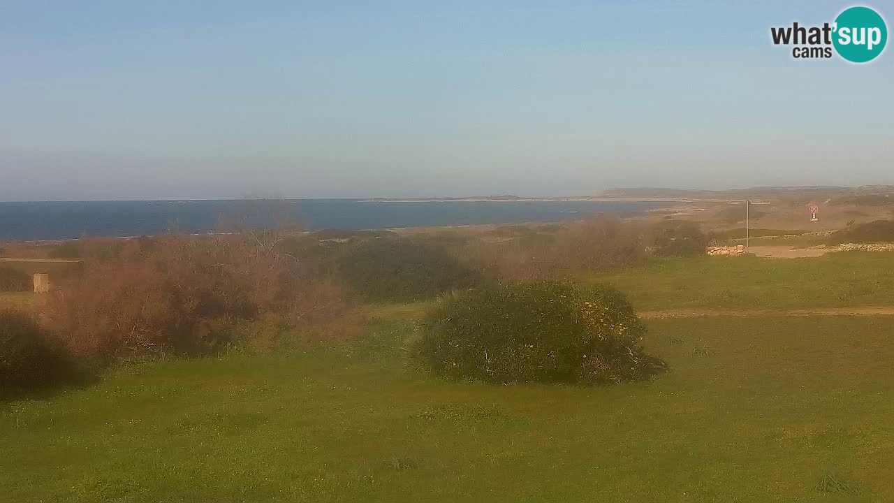 Mari Ermi Strand | Is Arutas – Oristano