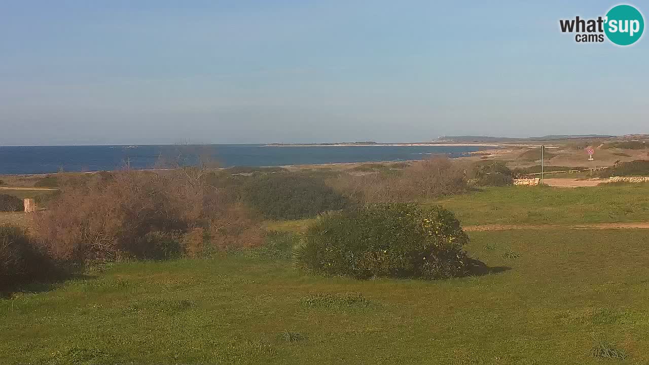 Plaža Mari Ermi | Is Arutas – Oristano