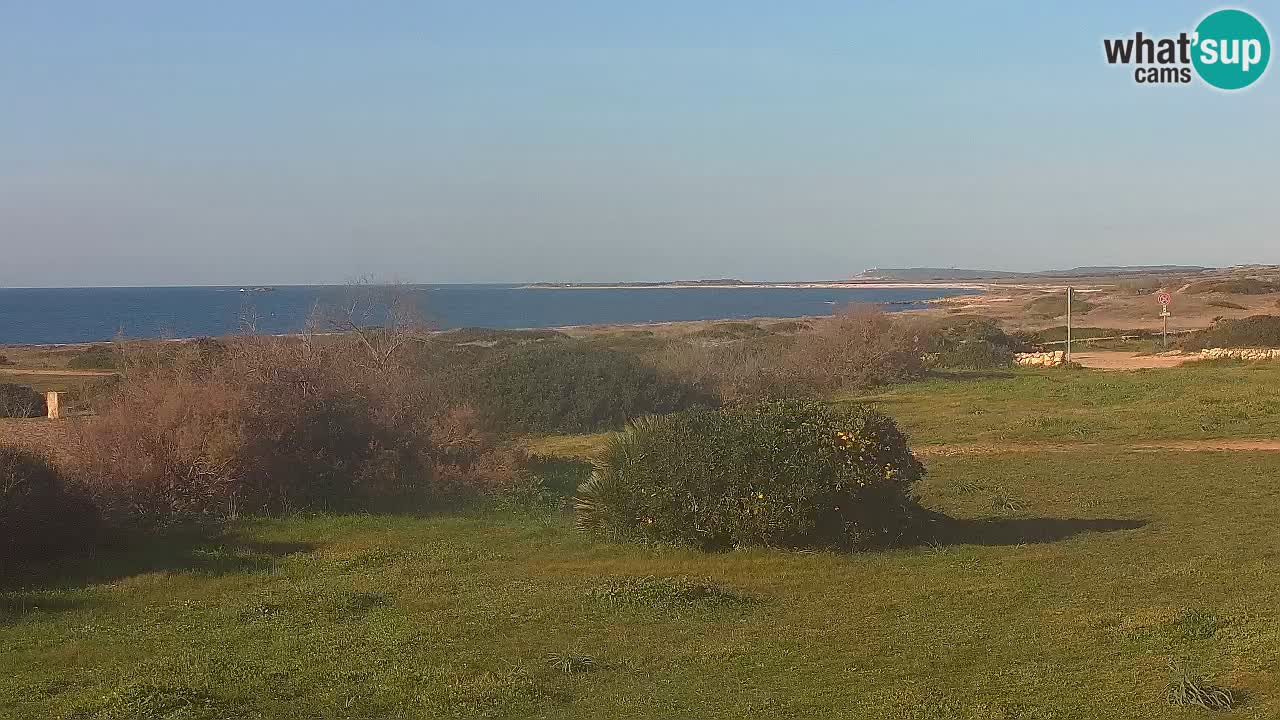 Mari Ermi Strand | Is Arutas – Oristano