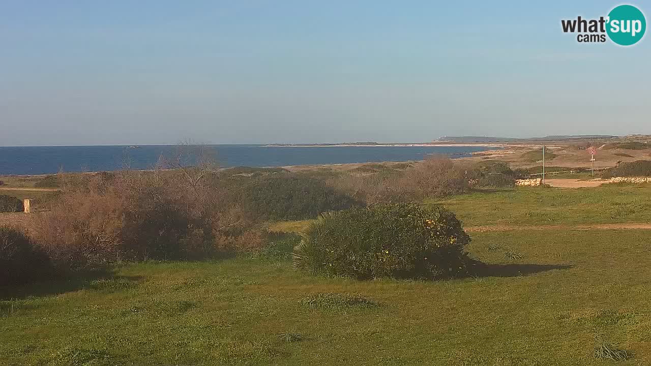 Playa Mari Ermi | Is Arutas – Oristano