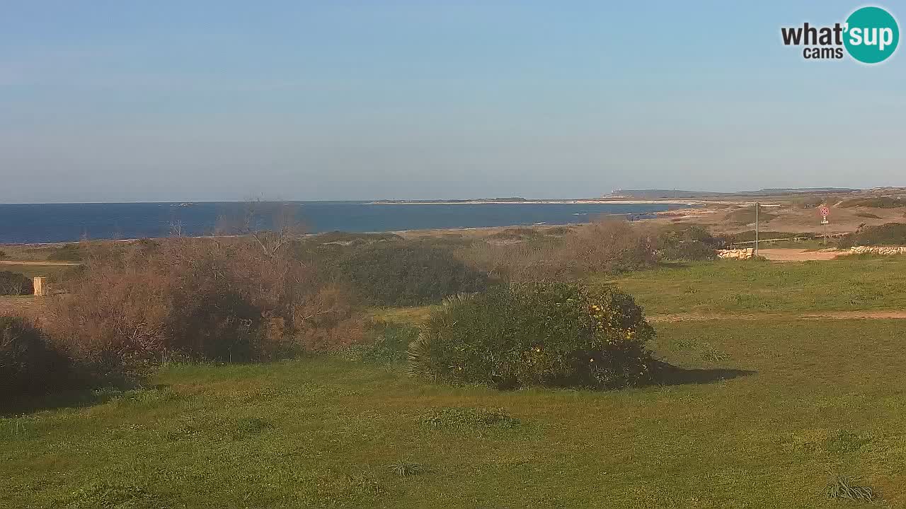 Mari Ermi beach | Is Arutas – Oristano