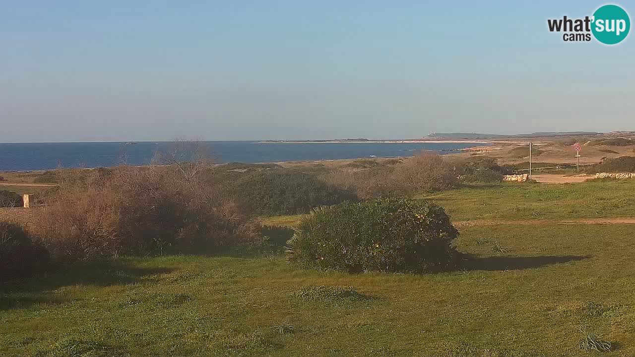 Mari Ermi Strand | Is Arutas – Oristano