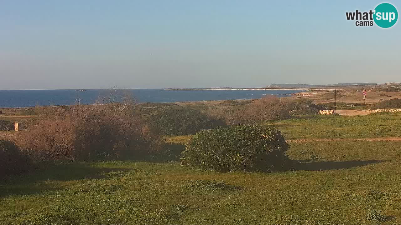 Mari Ermi Strand | Is Arutas – Oristano