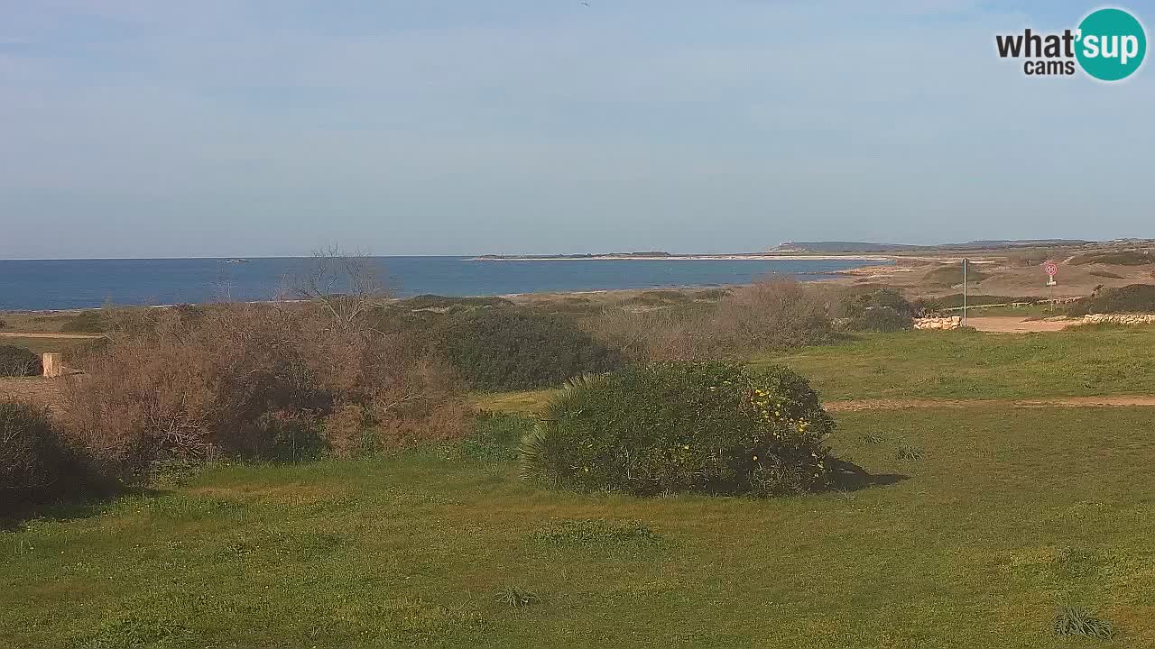 Plage Mari Ermi | Is Arutas – Oristano