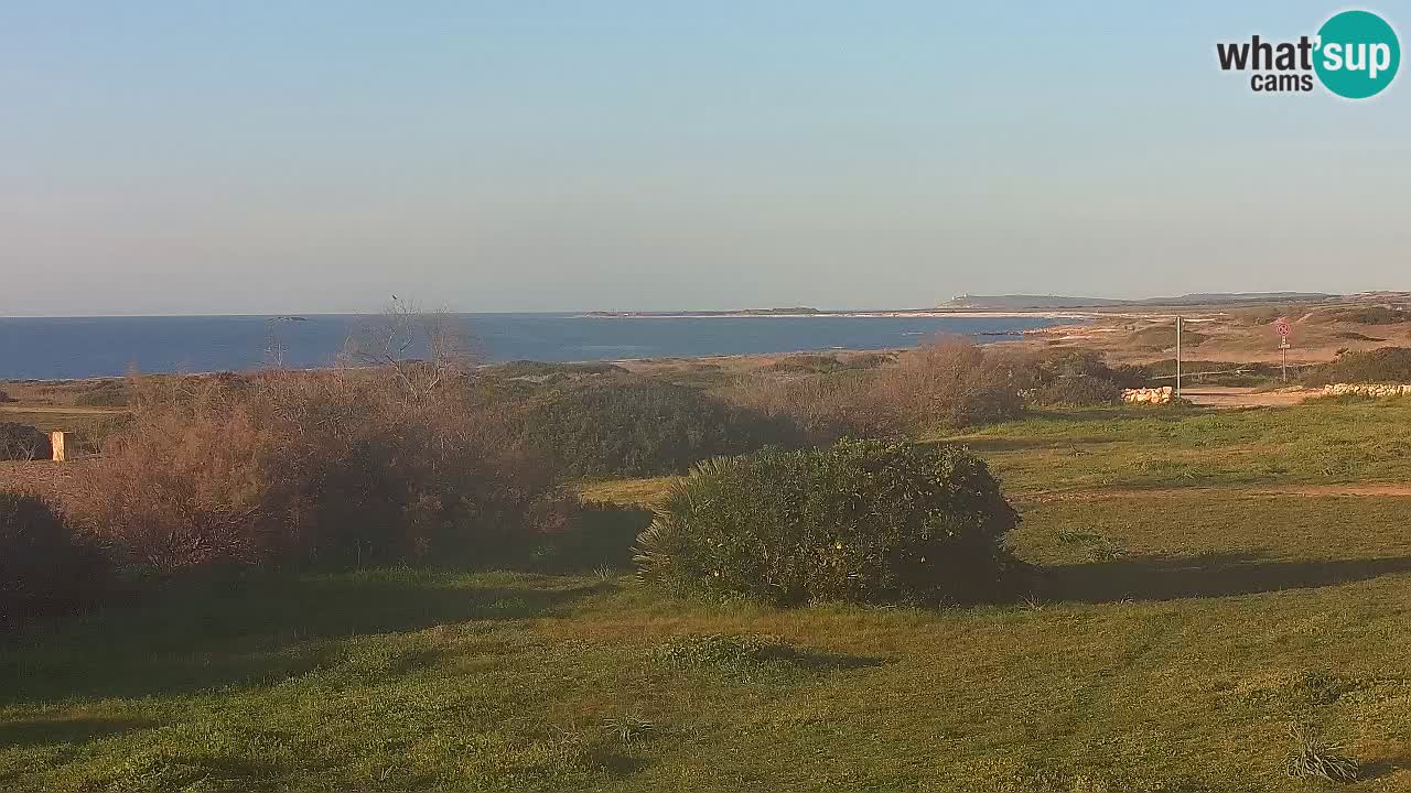 Plaža Mari Ermi | Is Arutas – Oristano