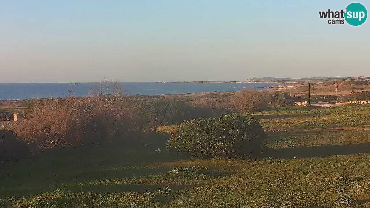 Mari Ermi Strand | Is Arutas – Oristano