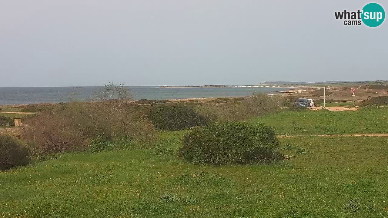 Plage Mari Ermi | Is Arutas – Oristano