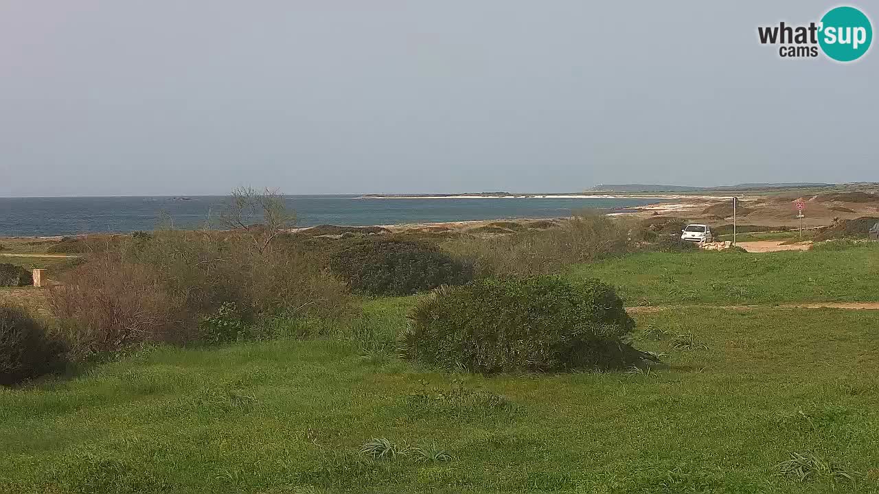 Plaža Mari Ermi | Is Arutas – Oristano