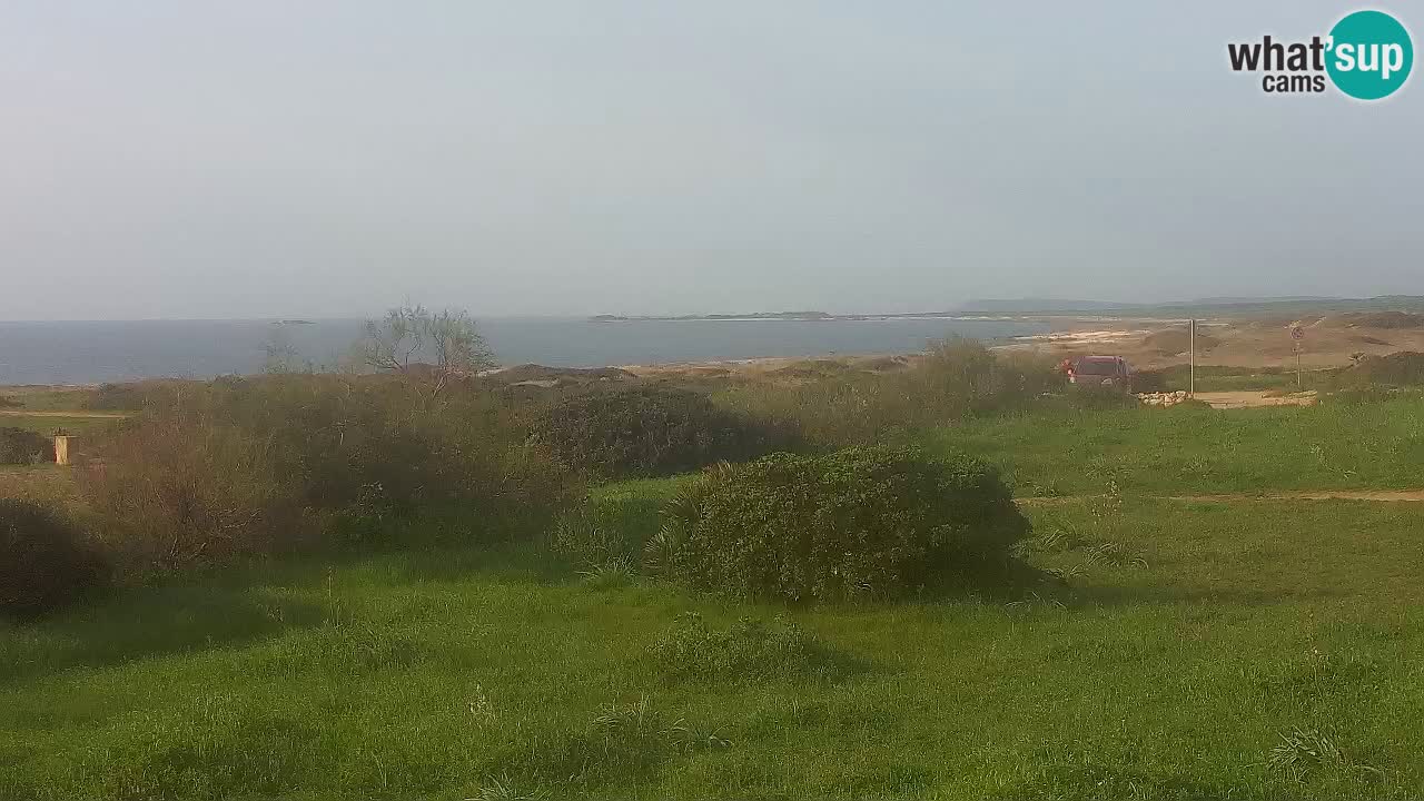 Plage Mari Ermi | Is Arutas – Oristano