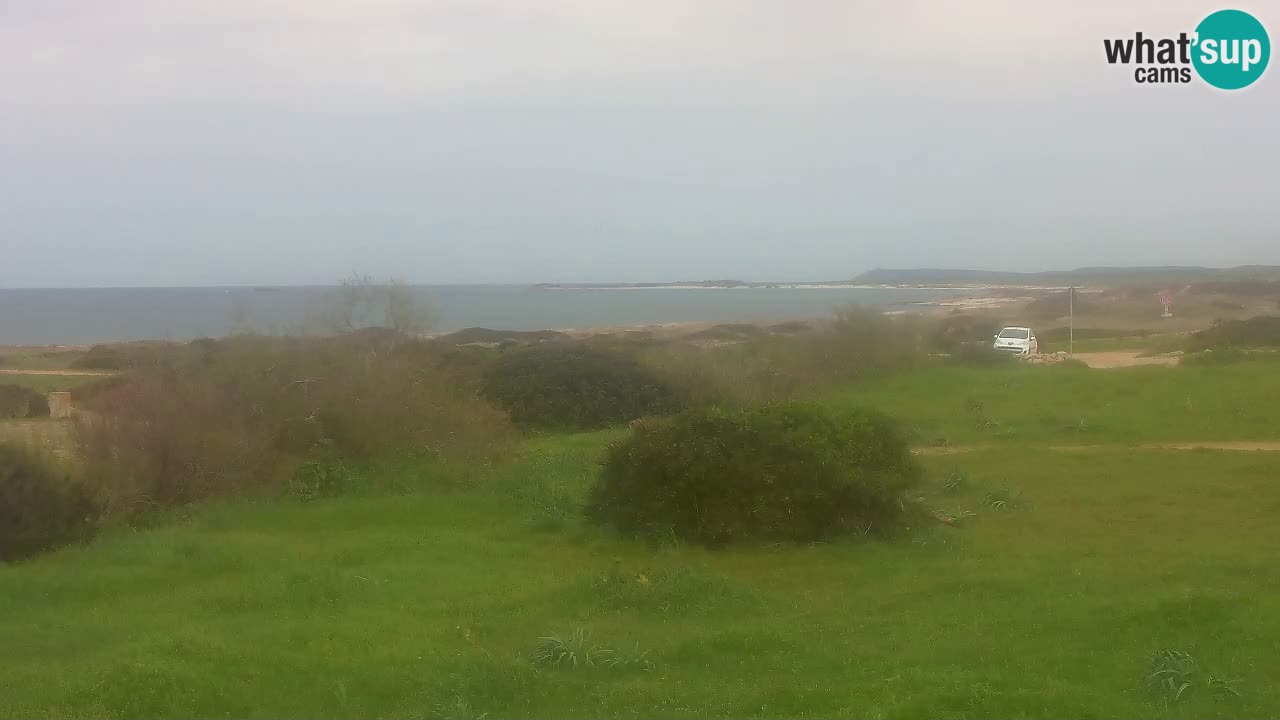 Playa Mari Ermi | Is Arutas – Oristano